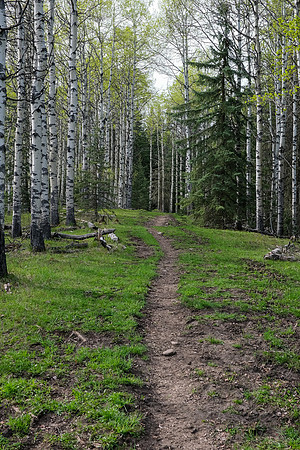 Hiking up Long Prairie Ridge.
