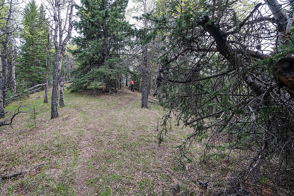 Hiking south on Macabee Ridge.