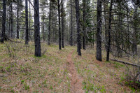 Hiking north from Long Prairie towards Pine Ridge.
