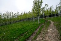 Hiking north from Long Prairie towards Pine Ridge.