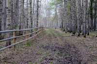 Hiking back along the fence to the parking lot.