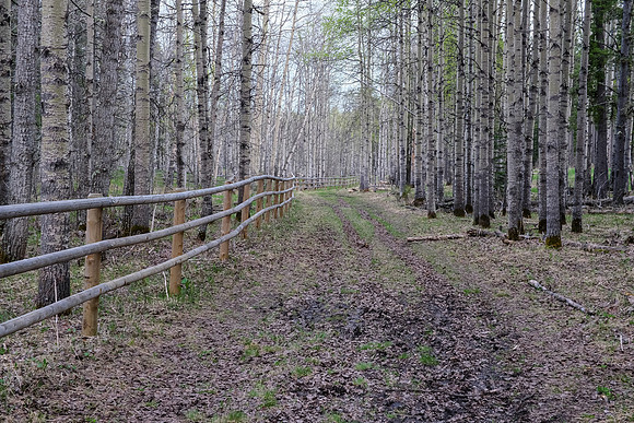 Hiking back along the fence to the parking lot.