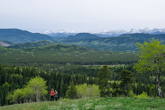 Descending the south end of Macabee Ridge.