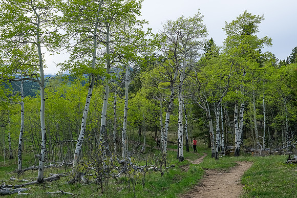 Hiking along the north end of Long Prairie Ridge.