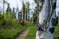 Hiking up Long Prairie Ridge.