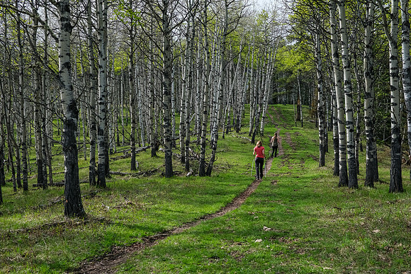 Hiking up Long Prairie Ridge.