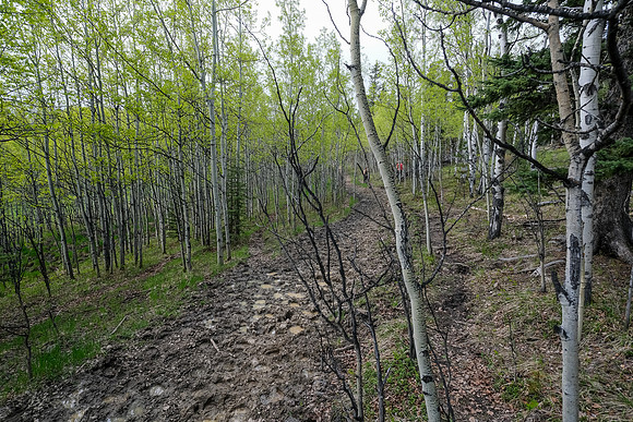 Hiking north from Long Prairie towards Pine Ridge.