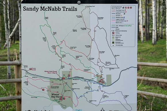 Tons of trails - things get confusing pretty quickly.