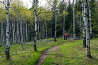 Hiking up Long Prairie Ridge.