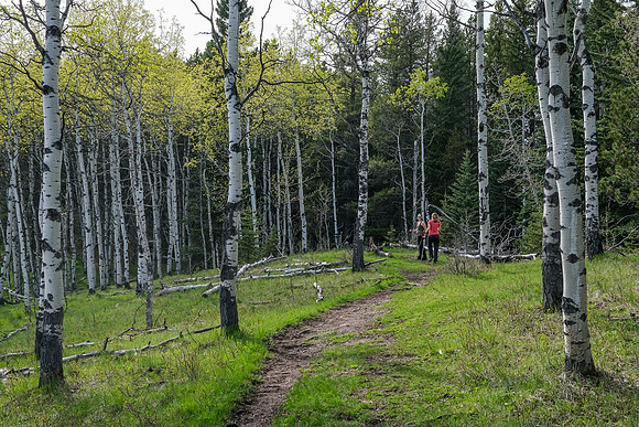 Hiking up Long Prairie Ridge.