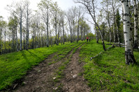 Hiking up Long Prairie Ridge.