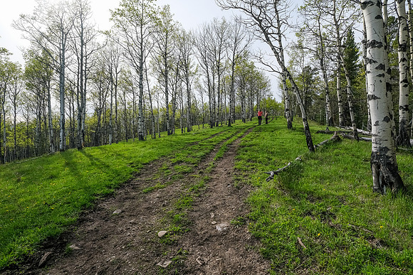 Hiking up Long Prairie Ridge.