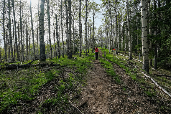 Hiking up Long Prairie Ridge.