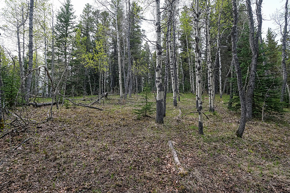 Hiking north from Long Prairie towards Pine Ridge.
