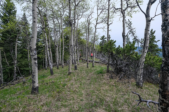 Hiking south on Macabee Ridge.