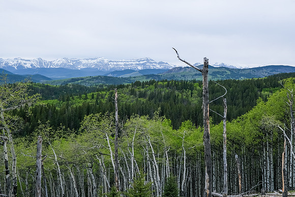 Views to the Rockies including Bluerock Mountain.