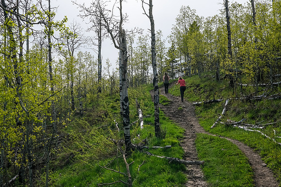 Hiking up Long Prairie Ridge.