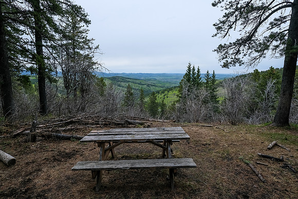 A nice picnic stop along the way, just under the high point on Pine Ridge.