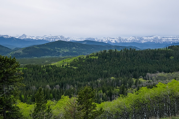 Views to the Rockies over Missinglink Mountain