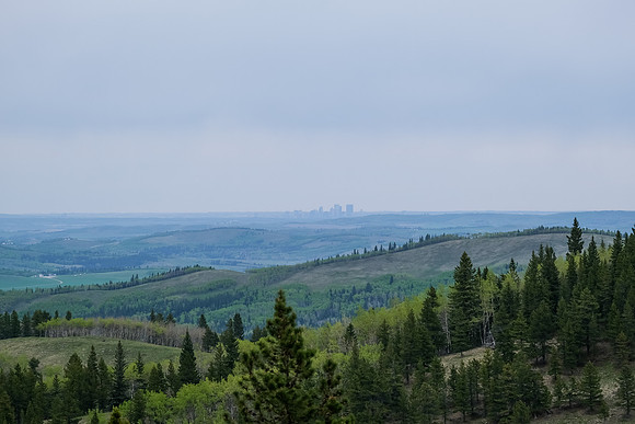 Calgary is visible from near the summit of Pine Ridge.