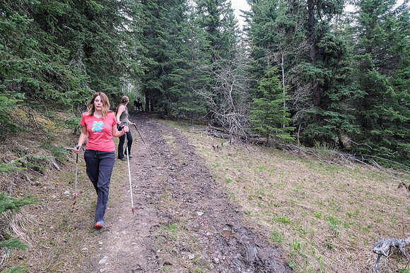 Hiking south from Pine Ridge towards Macabee Ridge.