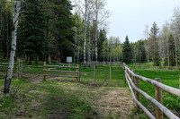 Hiking along a fence near Long Prairie Creek.