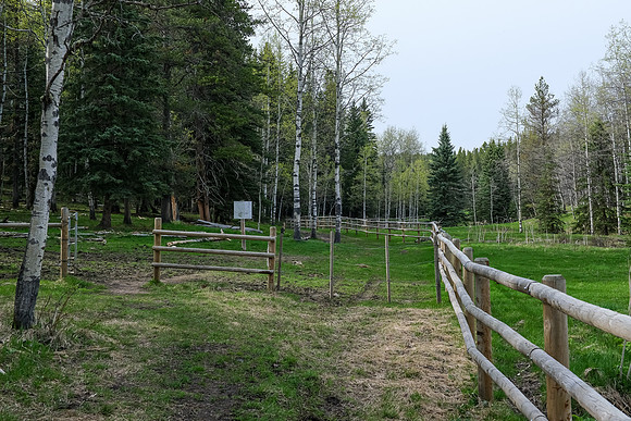 Hiking along a fence near Long Prairie Creek.