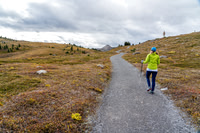 Hiking above Sunshine Village to the meadows.