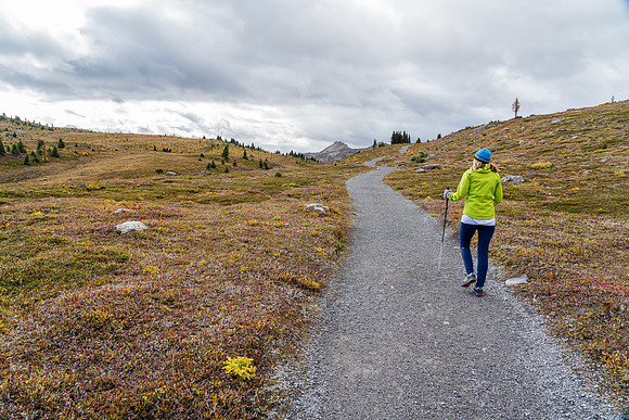 Hiking above Sunshine Village to the meadows.