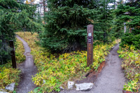 It gets so busy here there's a one way trail around Grizzly and Larix Lakes.