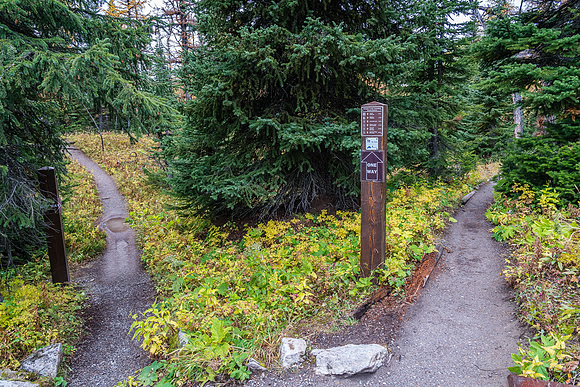 It gets so busy here there's a one way trail around Grizzly and Larix Lakes.
