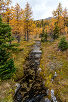 Hiking to Grizzly Lake.