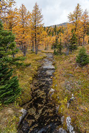 Hiking to Grizzly Lake.