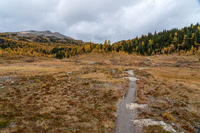 Hiking around Larix Lake.