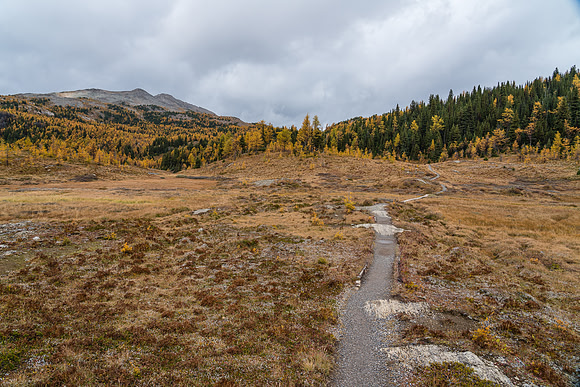 Hiking around Larix Lake.