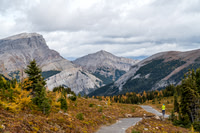 Hiking back towards Sunshine Village.