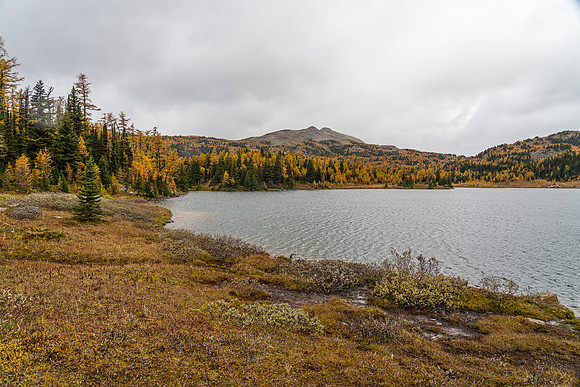 Hiking around Larix Lake.