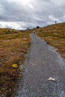 Hiking above Sunshine Village to the meadows.