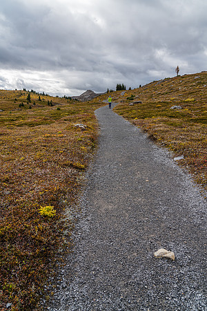 Hiking above Sunshine Village to the meadows.