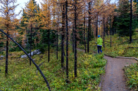 Hiking back to Rock Isle Lake.