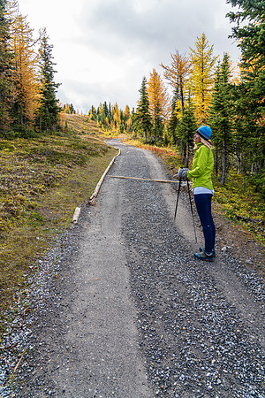 Hiking above Sunshine Village to the meadows.
