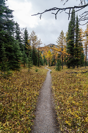 Hiking between Grizzly Lake and Larix Lake.