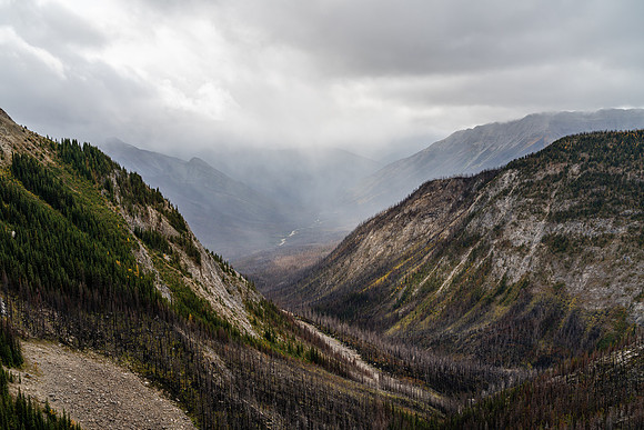 Views down the burnt Simpson River valley.