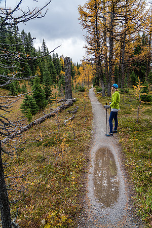 Hiking between Grizzly Lake and Larix Lake.