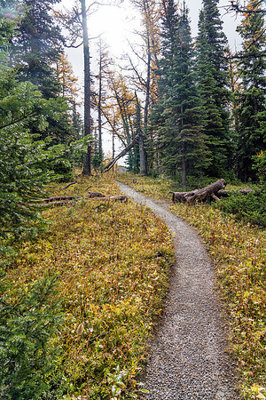 Hiking between Grizzly Lake and Larix Lake.