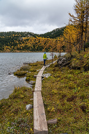 Hiking around Larix Lake.
