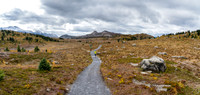 The Sunshine Meadows stretch out in front of us. Left is Citadel Pass. Right is Rock Isle Lake.