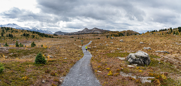 The Sunshine Meadows stretch out in front of us. Left is Citadel Pass. Right is Rock Isle Lake.