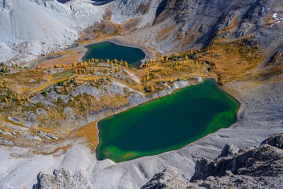 The Birdwood Lakes.