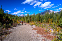 Hiking back along Smuts Creek to the parking lot.